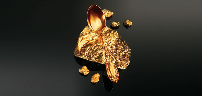 Florida Trend Golden Spoon award