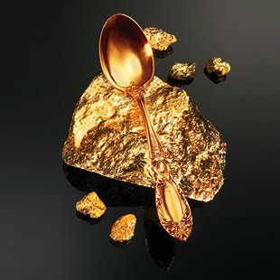 Florida's Best Places to Dine